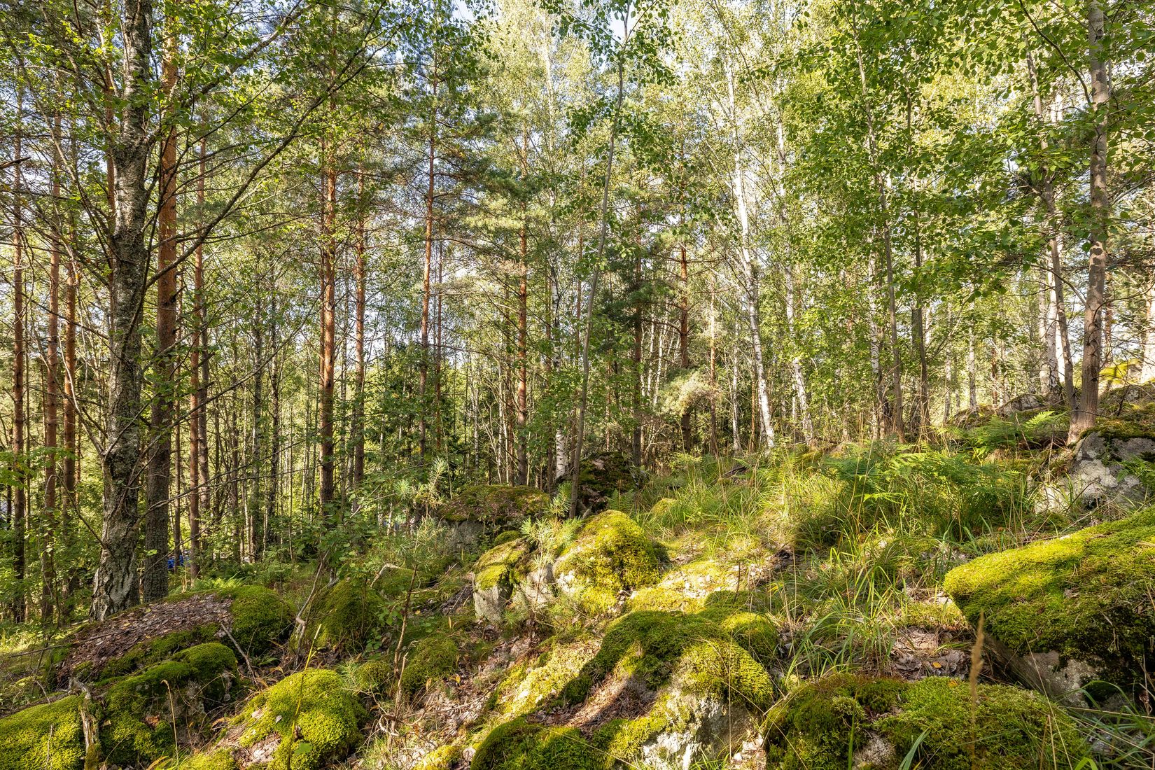 Tomt, Mjölkarvägen 7, Bro, Upplands-Bro