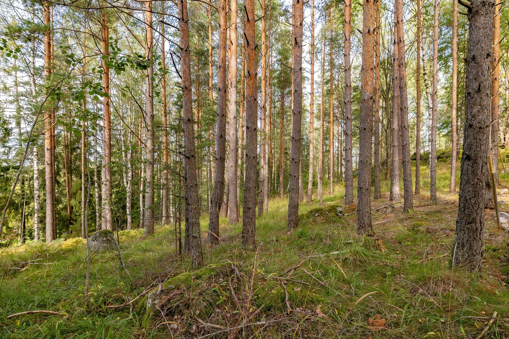 Tomt, Mjölkarvägen 7, Bro, Upplands-Bro