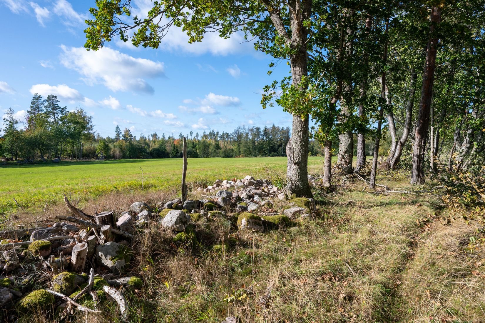 Tomt, Knubbelyckan Kolbyttemon 1:3, Kolbyttemon, Linköping