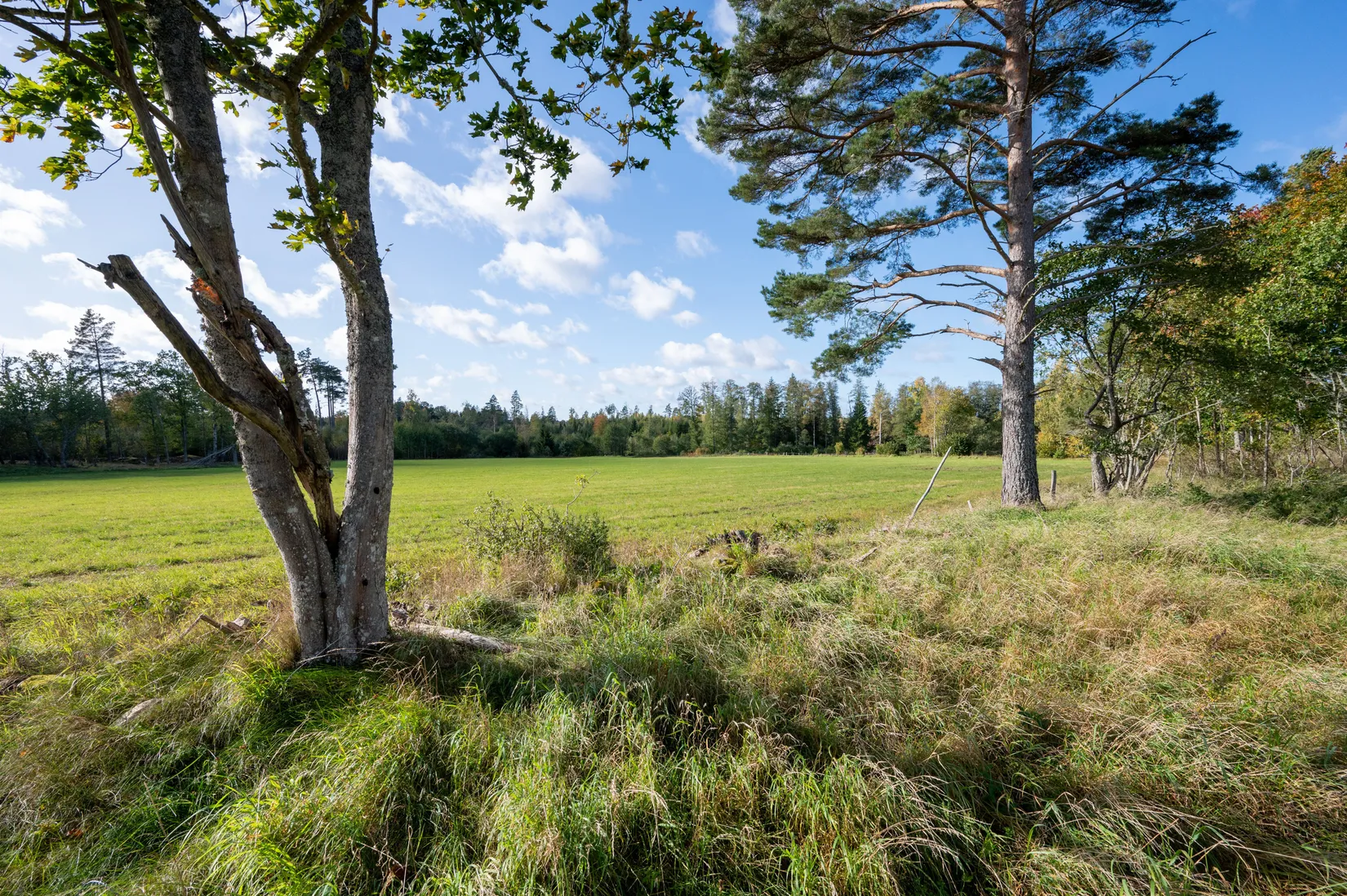 Tomt, Knubbelyckan Kolbyttemon 1:3, Kolbyttemon, Linköping