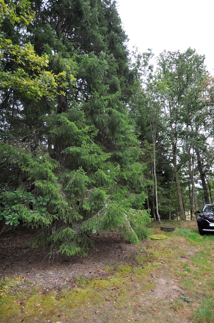 Villa, Bägaryd 3, Ljungby