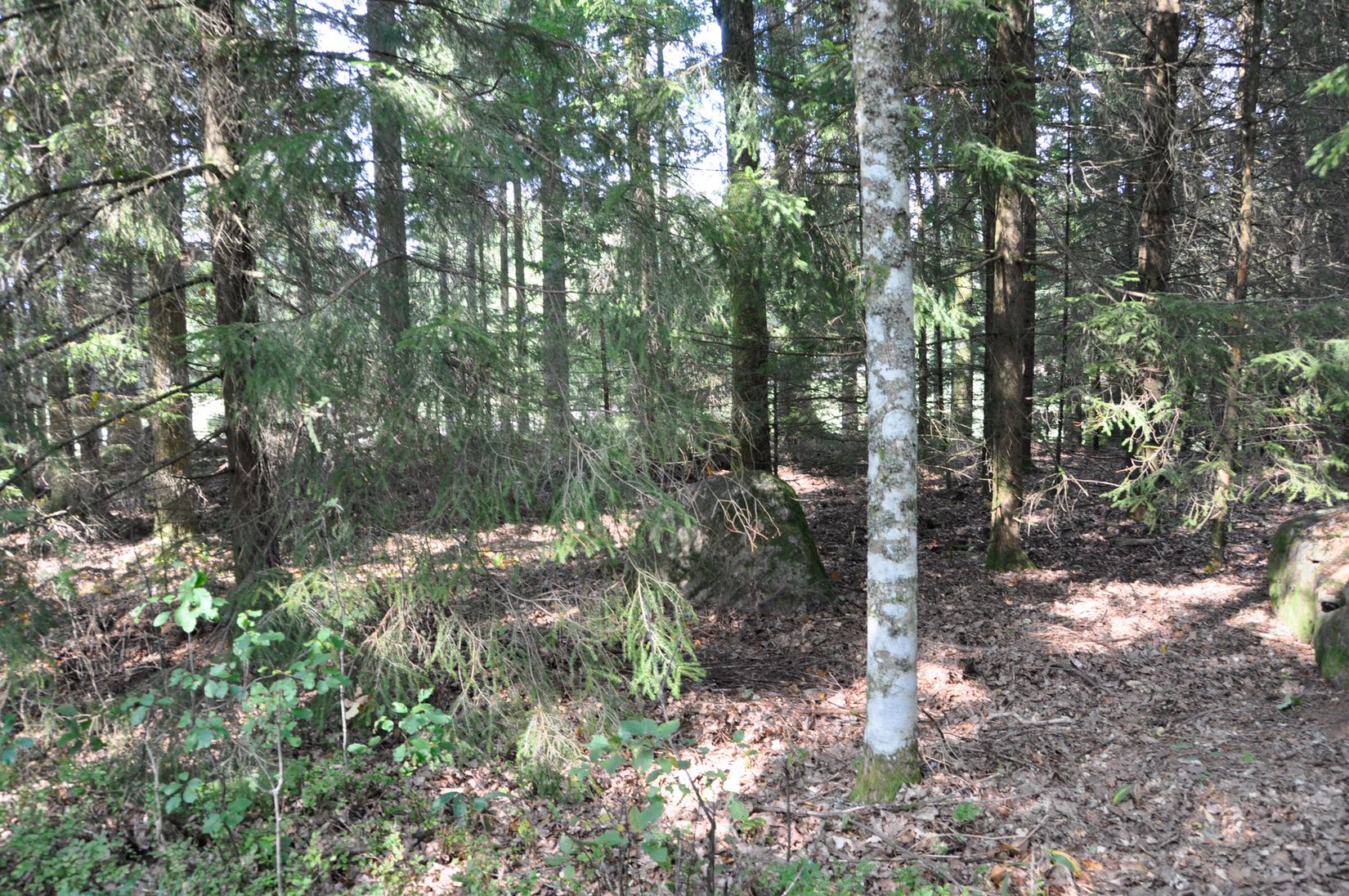 Villa, Bägaryd 2, Ljungby