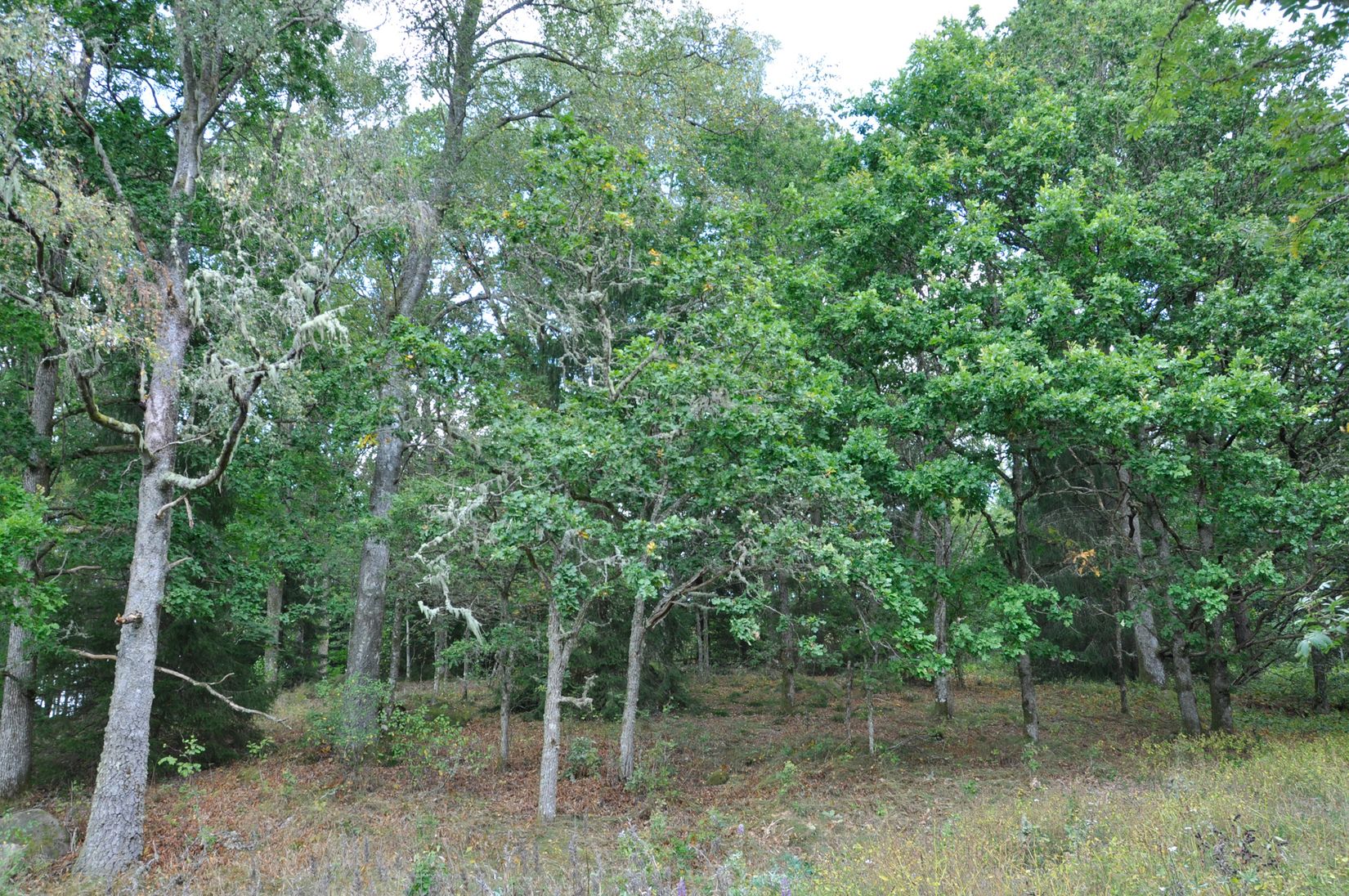 Villa, Bägaryd 2, Ljungby