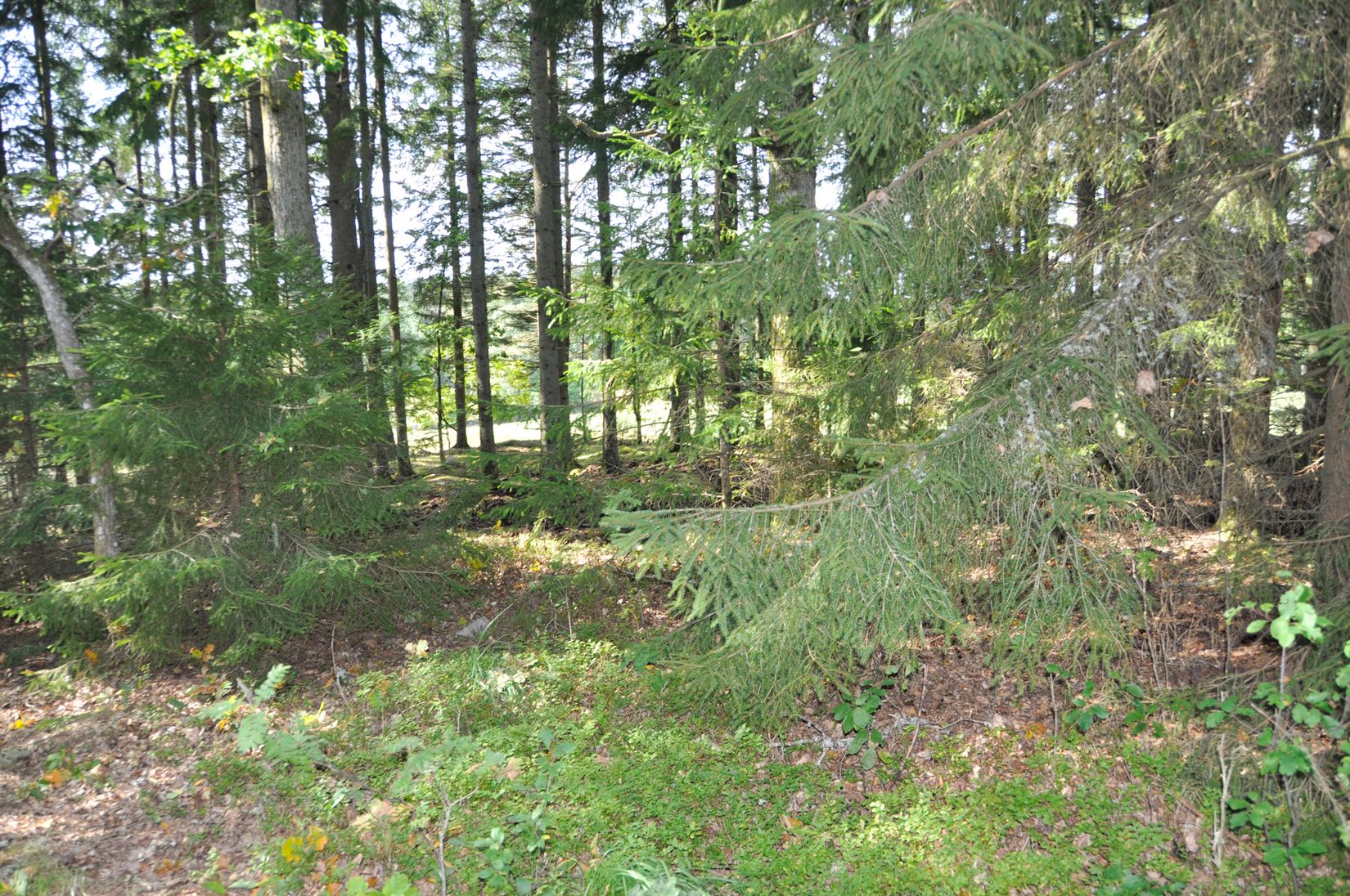 Villa, Bägaryd 2, Ljungby