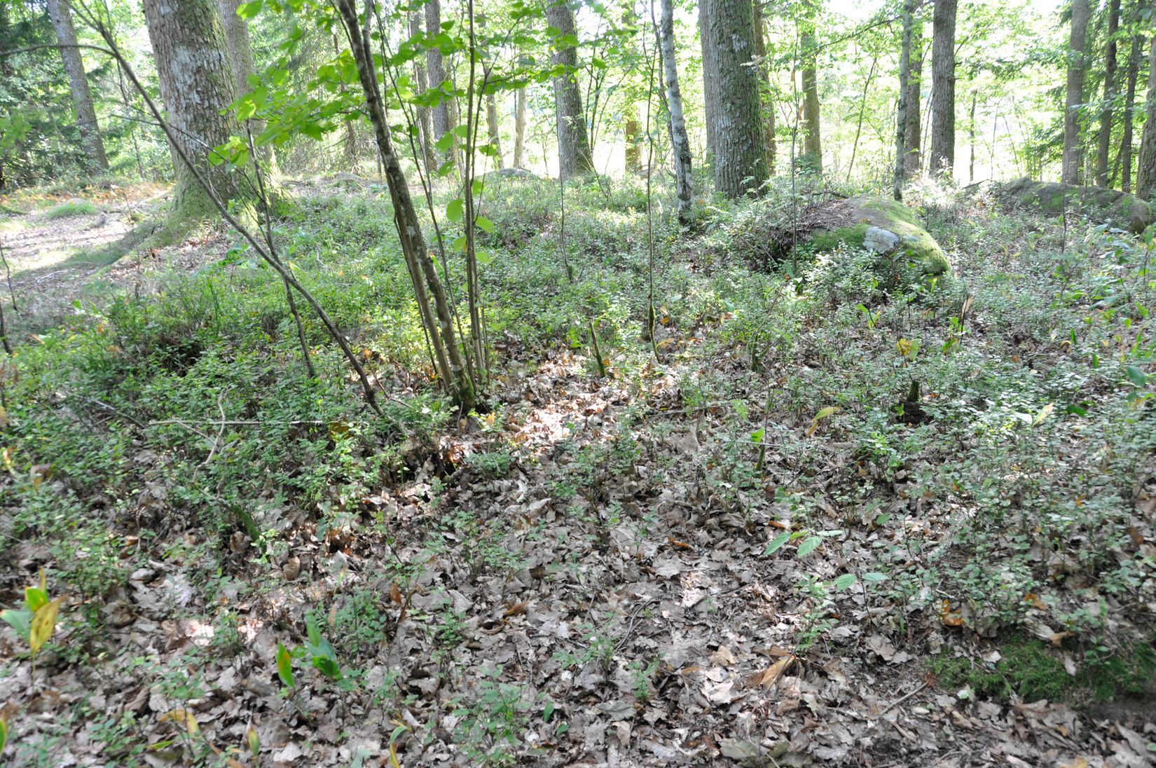 Villa, Bägaryd 2, Ljungby