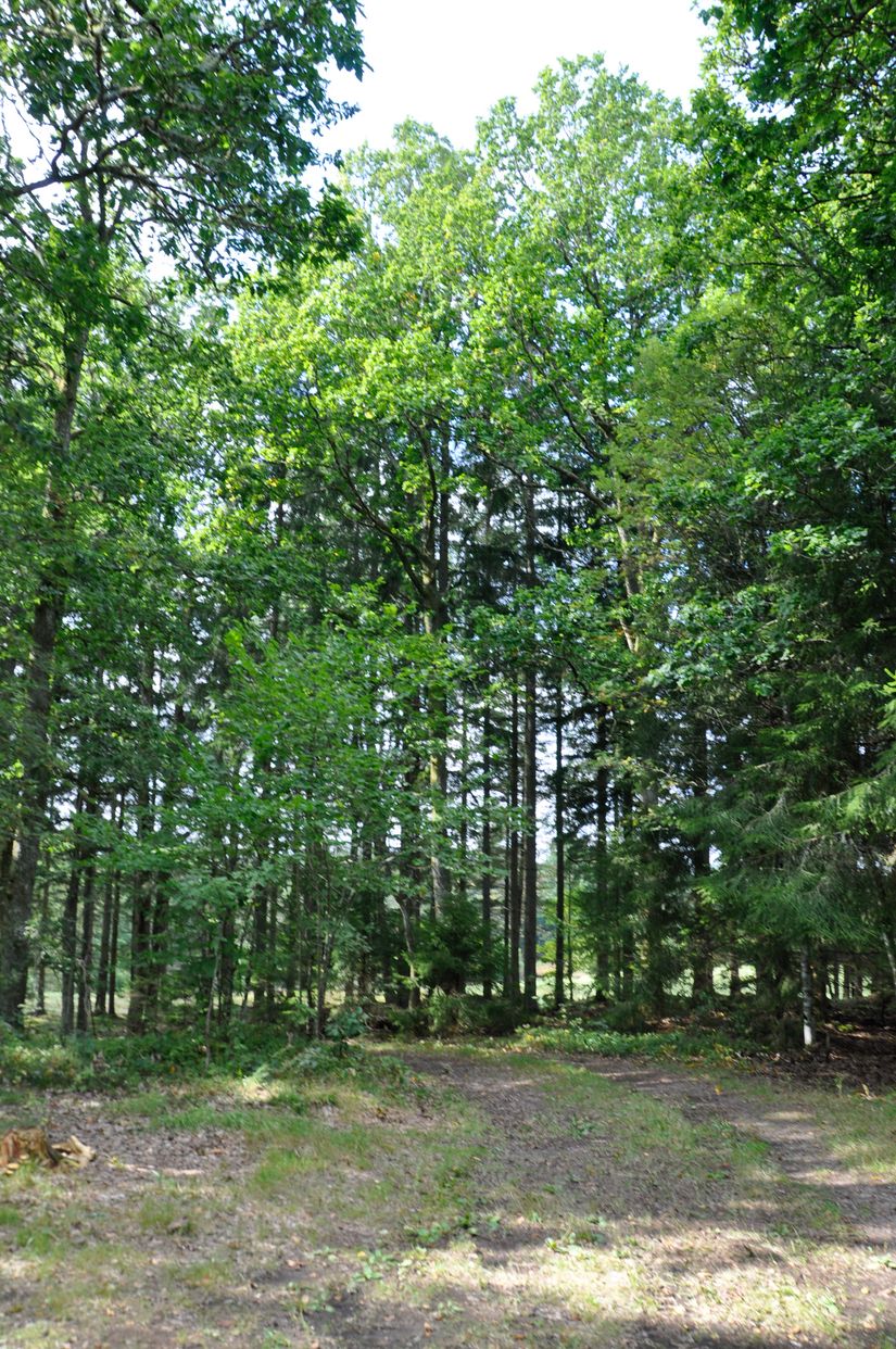 Villa, Bägaryd 2, Ljungby