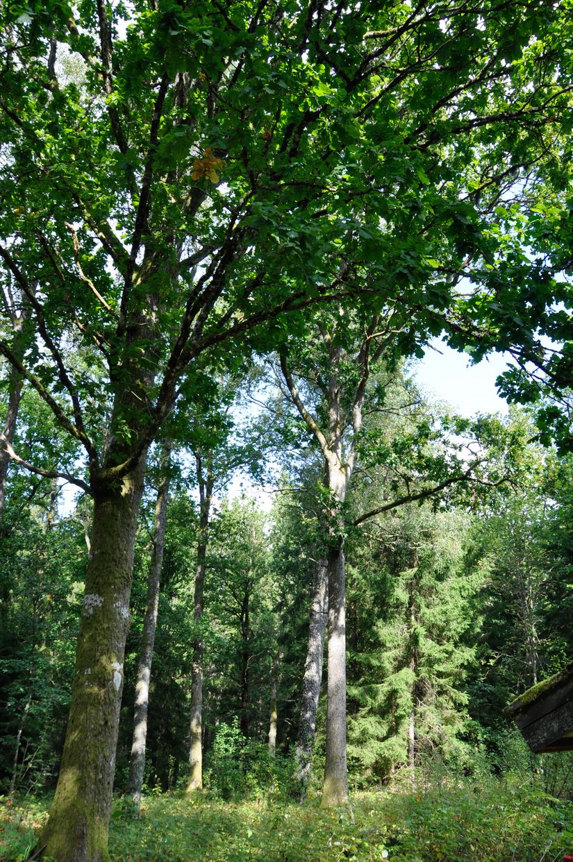 Villa, Bägaryd 2, Ljungby