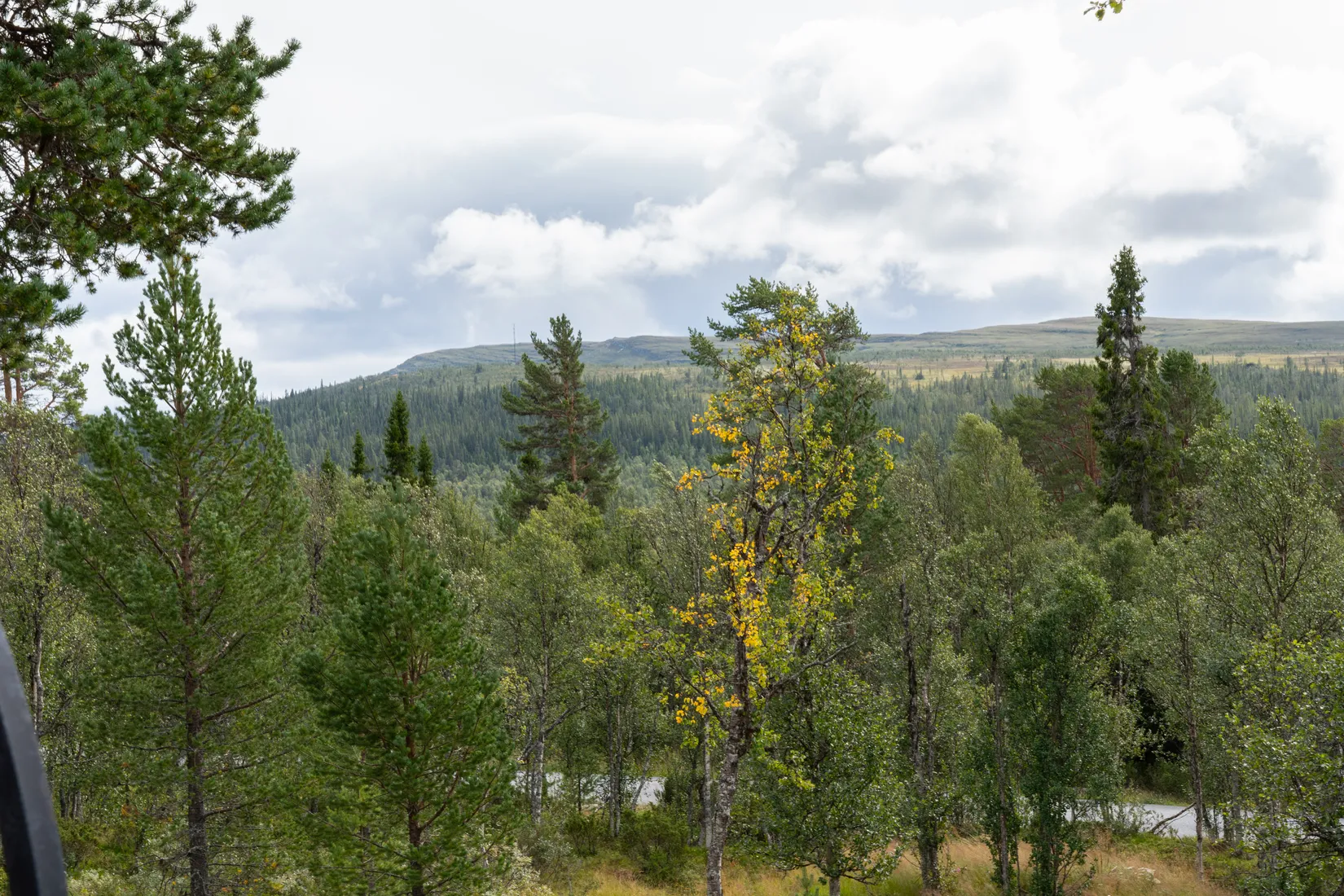 Fritidshus, Mittådalsvallen 325, Härjedalen