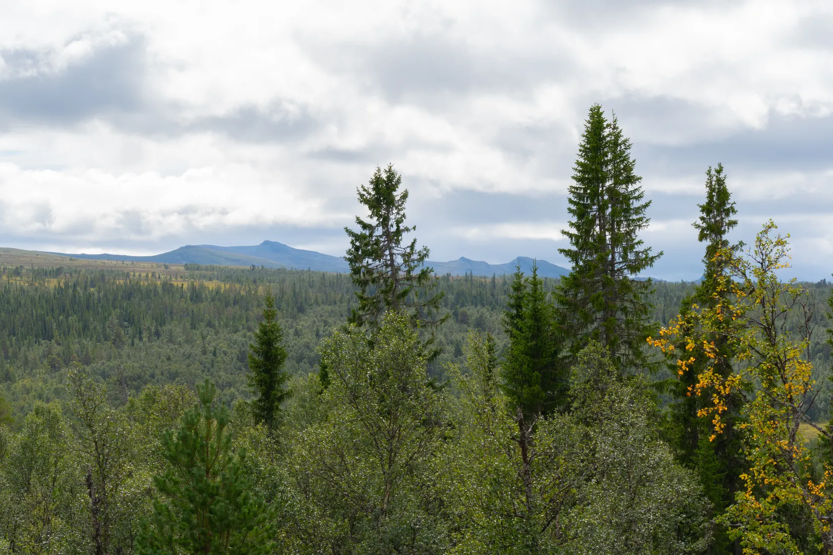 Fritidshus, Mittådalsvallen 325, Härjedalen