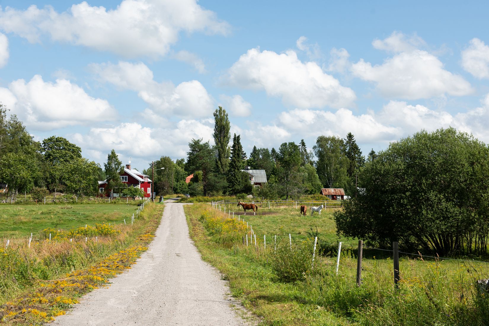 Villa, Sjöbacksvägen 6, Söderhamn