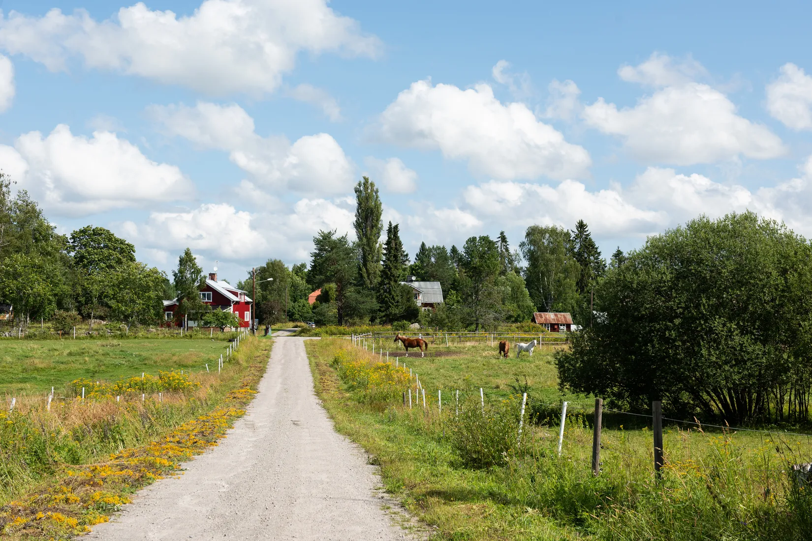 Villa, Sjöbacksvägen 6, Söderhamn