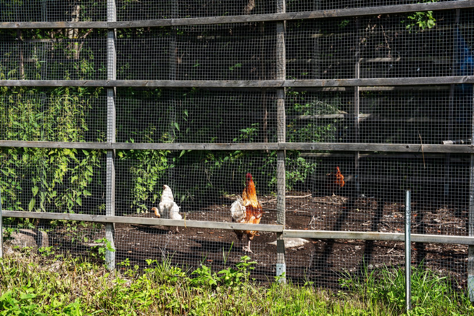 Villa, Sjöbacksvägen 6, Söderhamn