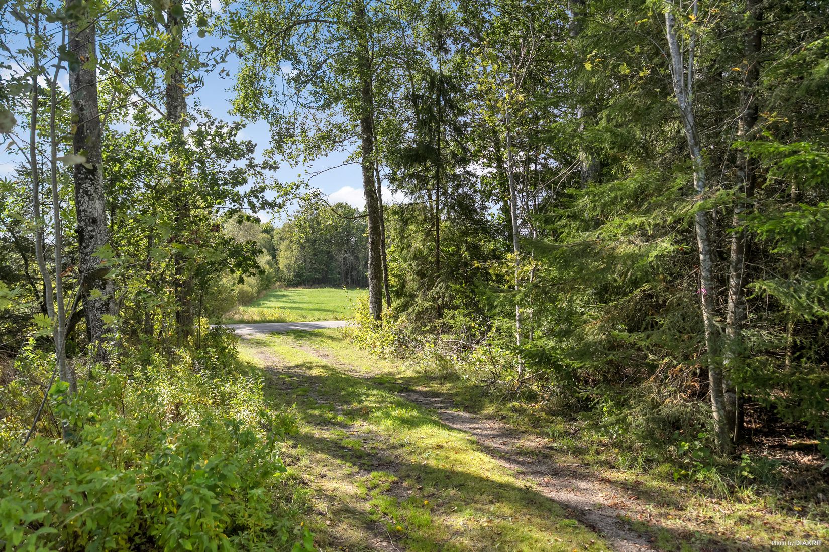 Villa, Eling Skog 3, Vara