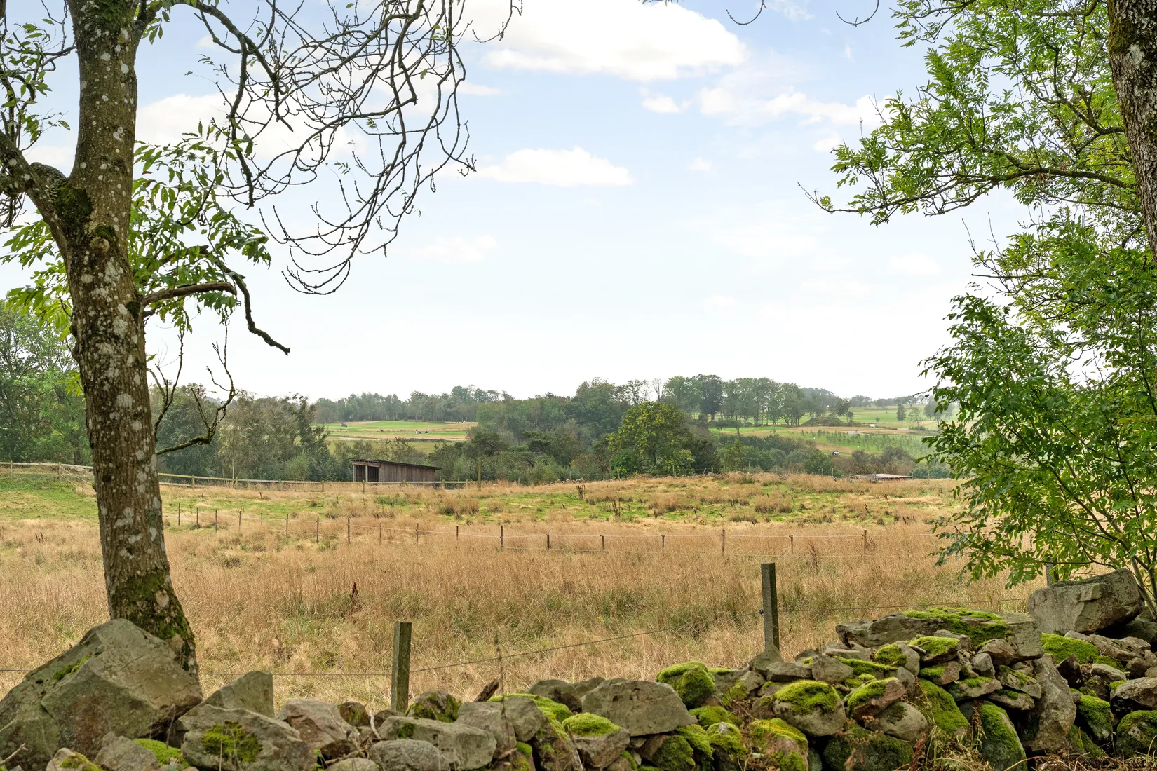 Villa, Rysslandsvägen 171, Häljarp, Båstad