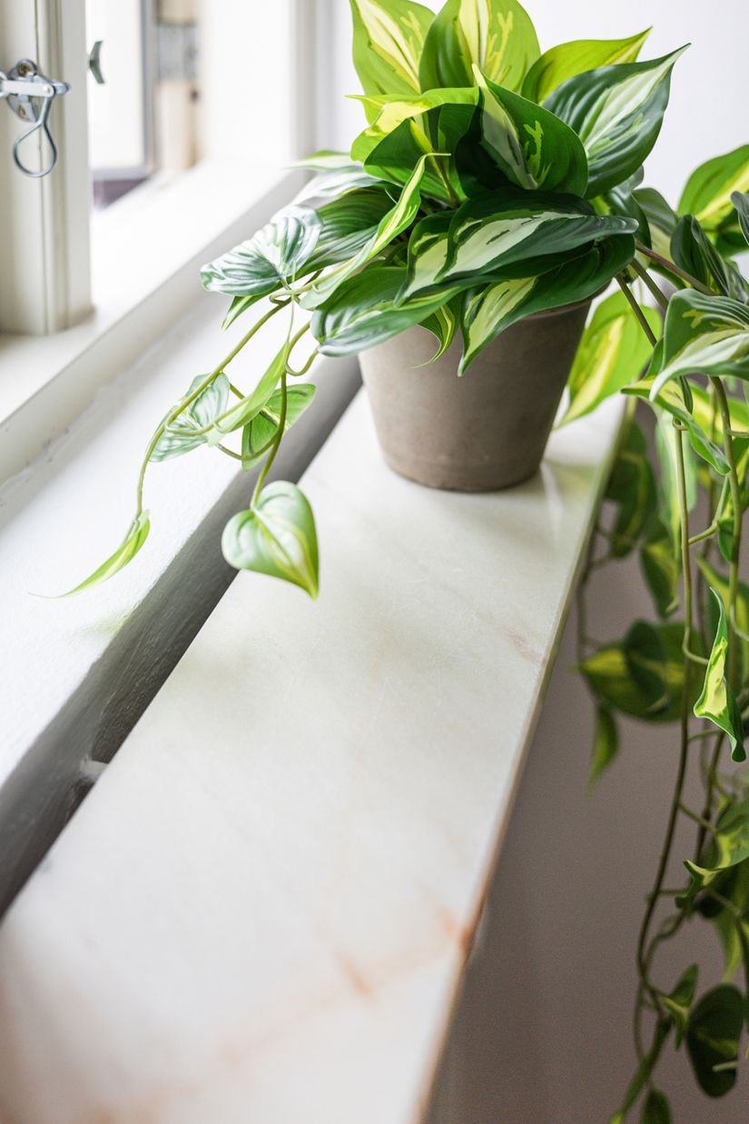 Bostadsrätt, Lundbergsgatan 19, Slottsstaden, Malmö