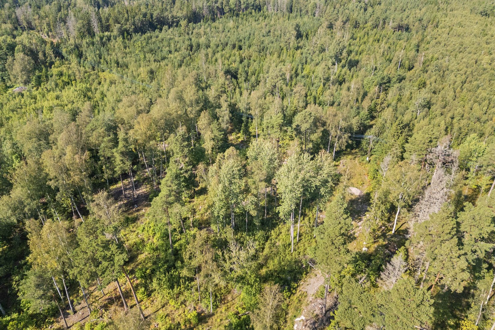 Tomt, Södra Strandvägen 77B, Vätö, Norrtälje