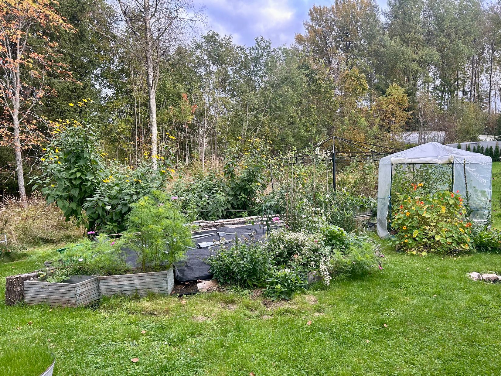 Villa, Nisshagsvägen 3, Klenshyttan, Ludvika