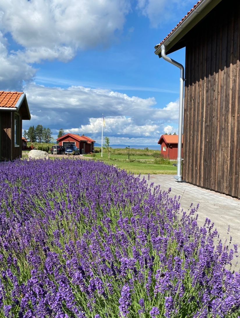 Fritidshus, Sjögårdarna 4, Tällberg, Leksand