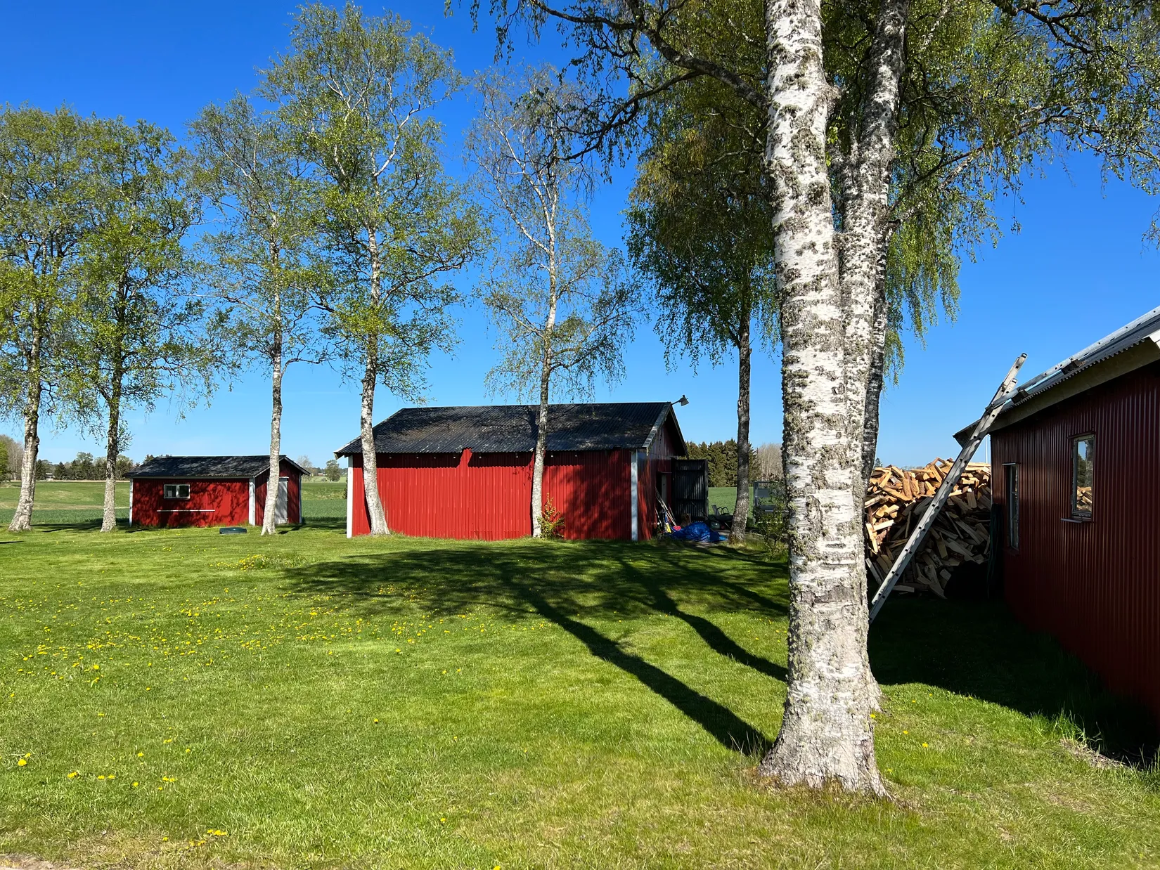 Villa, Long Fly 1, Long, Vara