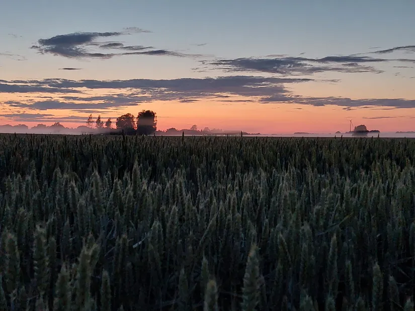 Villa, Long Fly 1, Long, Vara