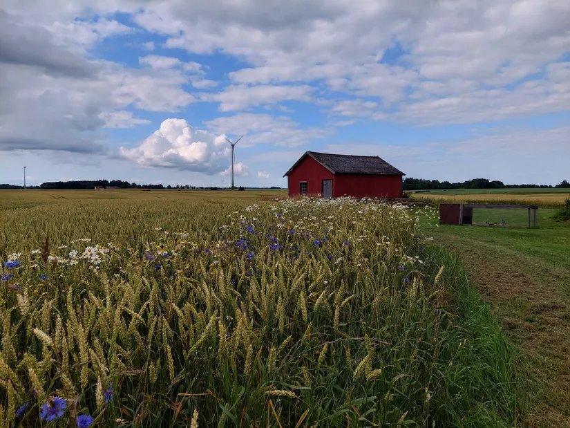 Villa, Long Fly 1, Long, Vara