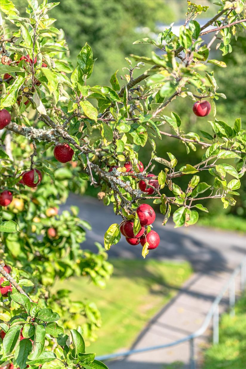Villa, Fornstigen 7, Munkedal