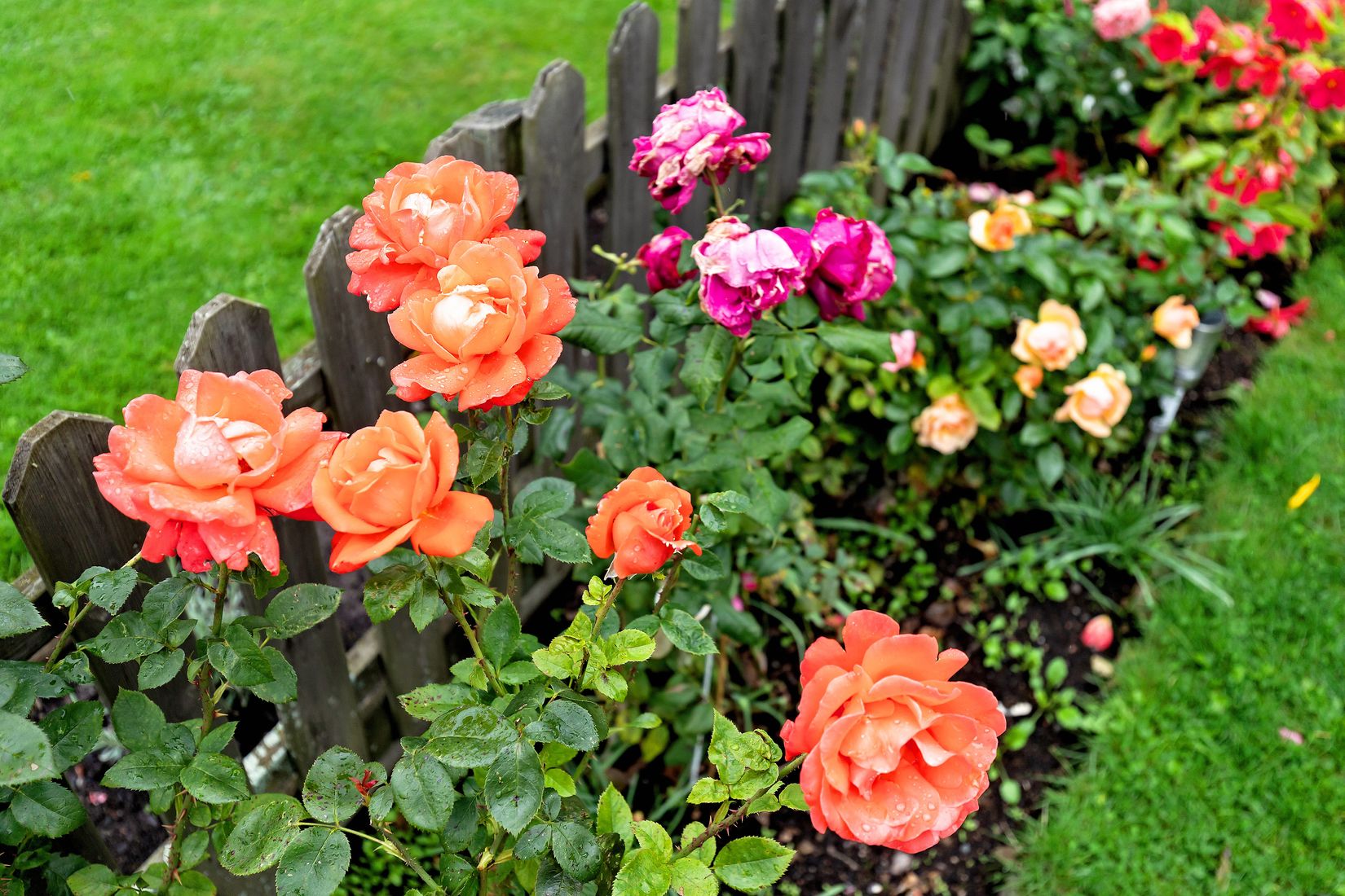 Bostadsrätt, Antenngatan 43A, Göteborg