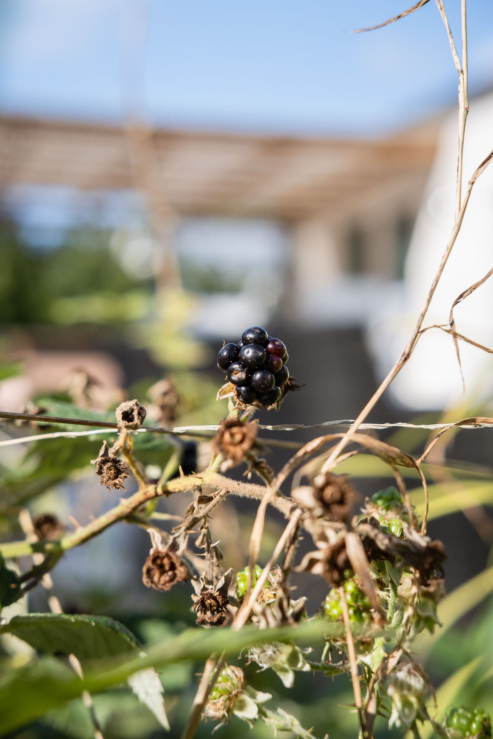 Fritidshus, Högklint Rudenschöldsvägen 30C, Visby - Högklint, Gotland
