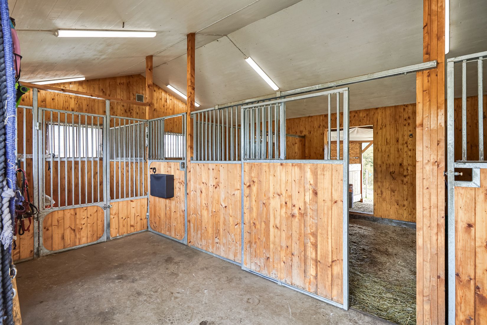 Gård/Skog, Hjälmrydsvägen 22, Bredared, Borås