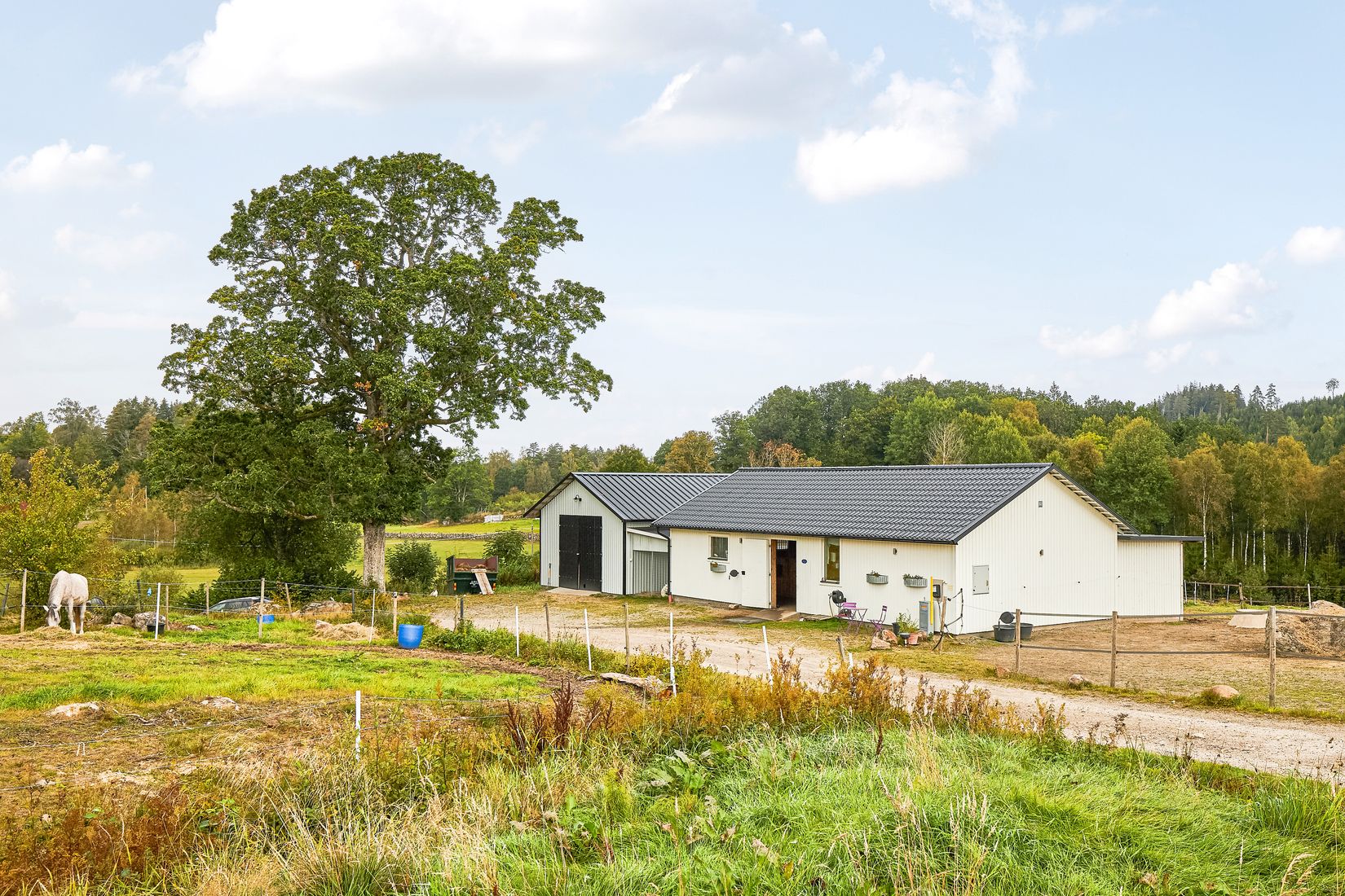 Gård/Skog, Hjälmrydsvägen 22, Bredared, Borås