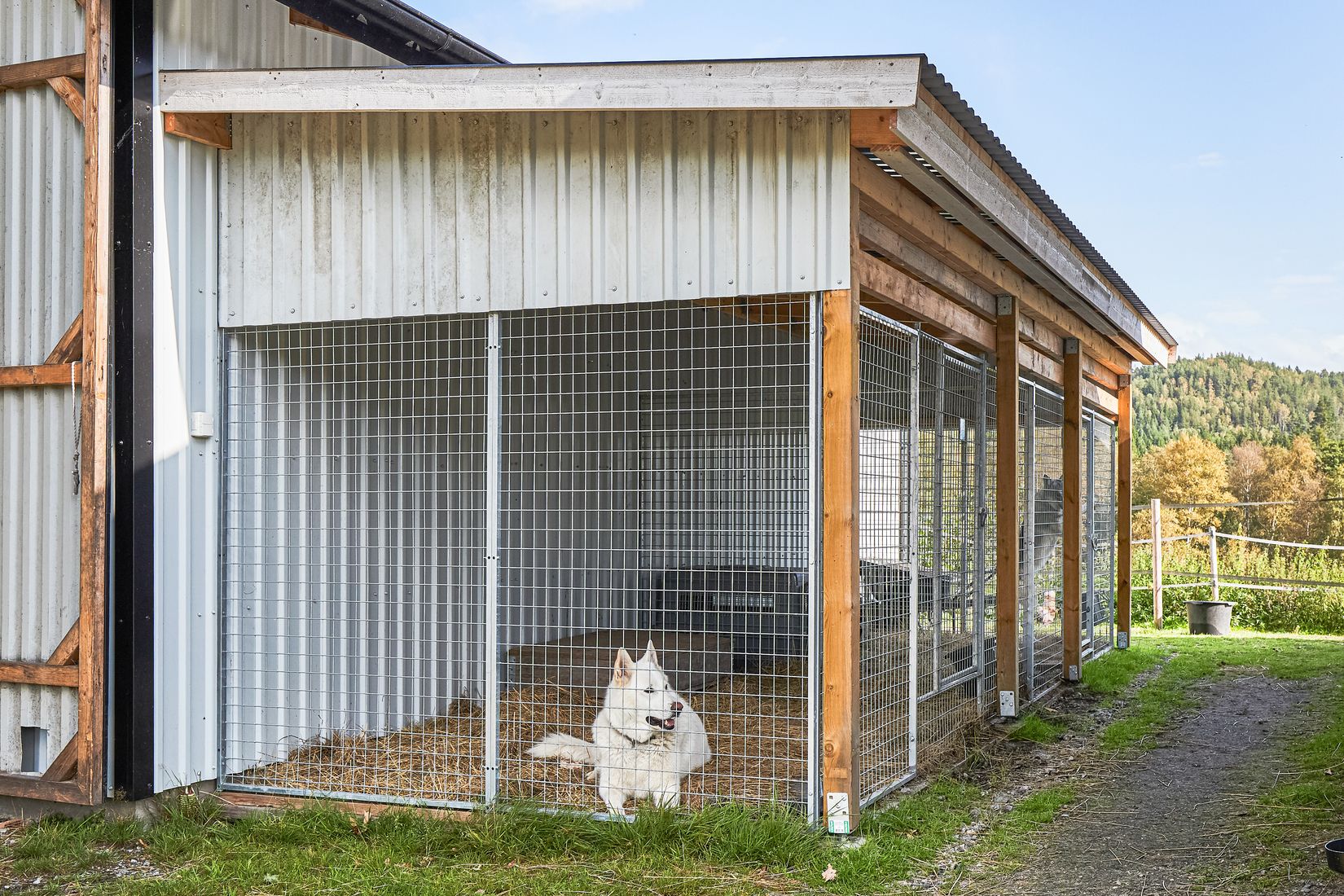 Gård/Skog, Hjälmrydsvägen 22, Bredared, Borås