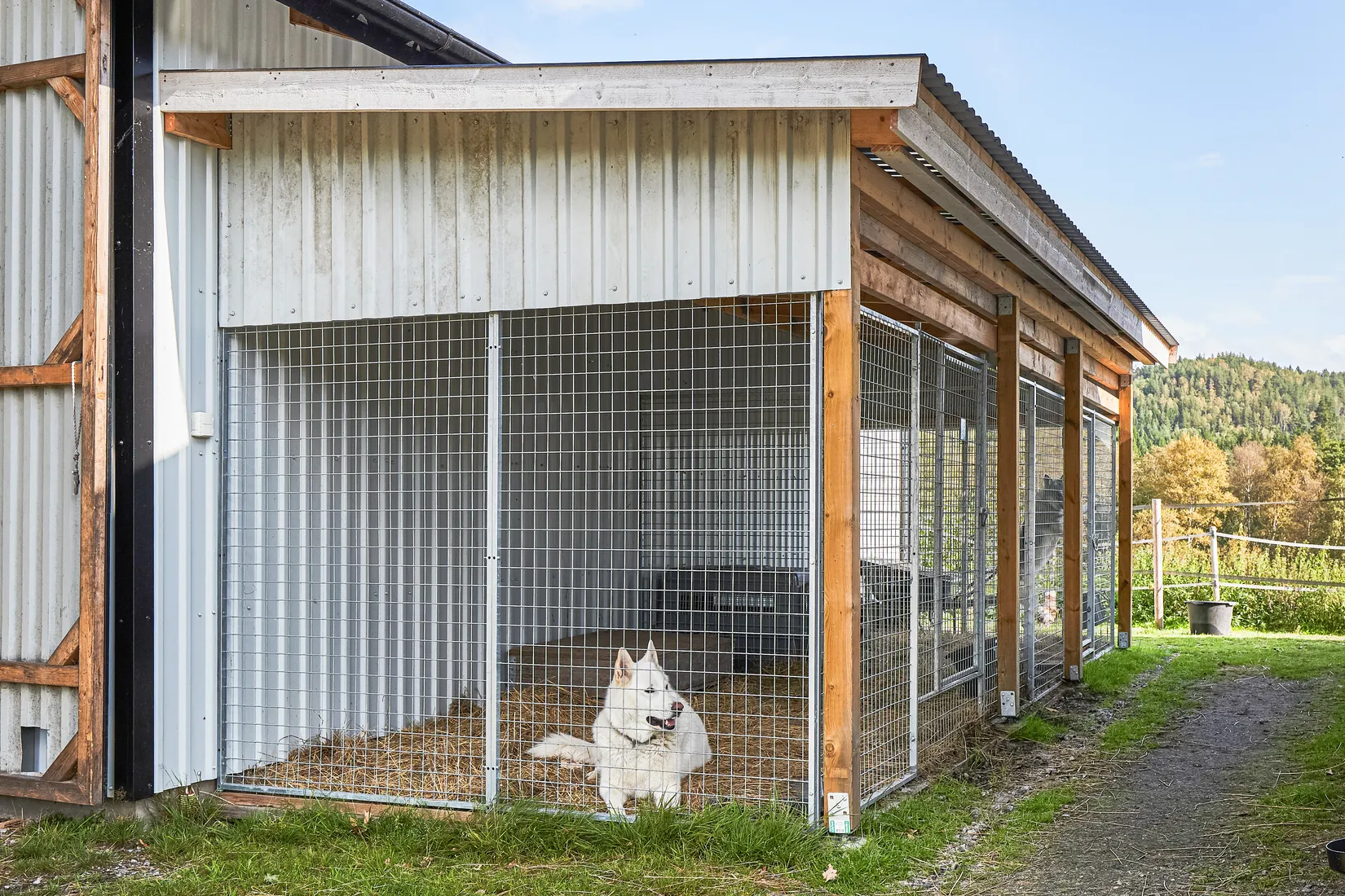 Gård/Skog, Hjälmrydsvägen 22, Bredared, Borås