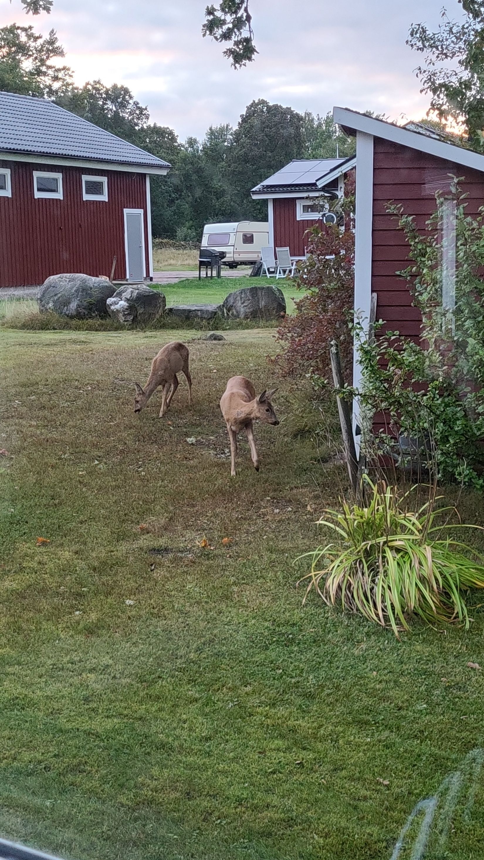 Villa, Källshult 9, Ljungby