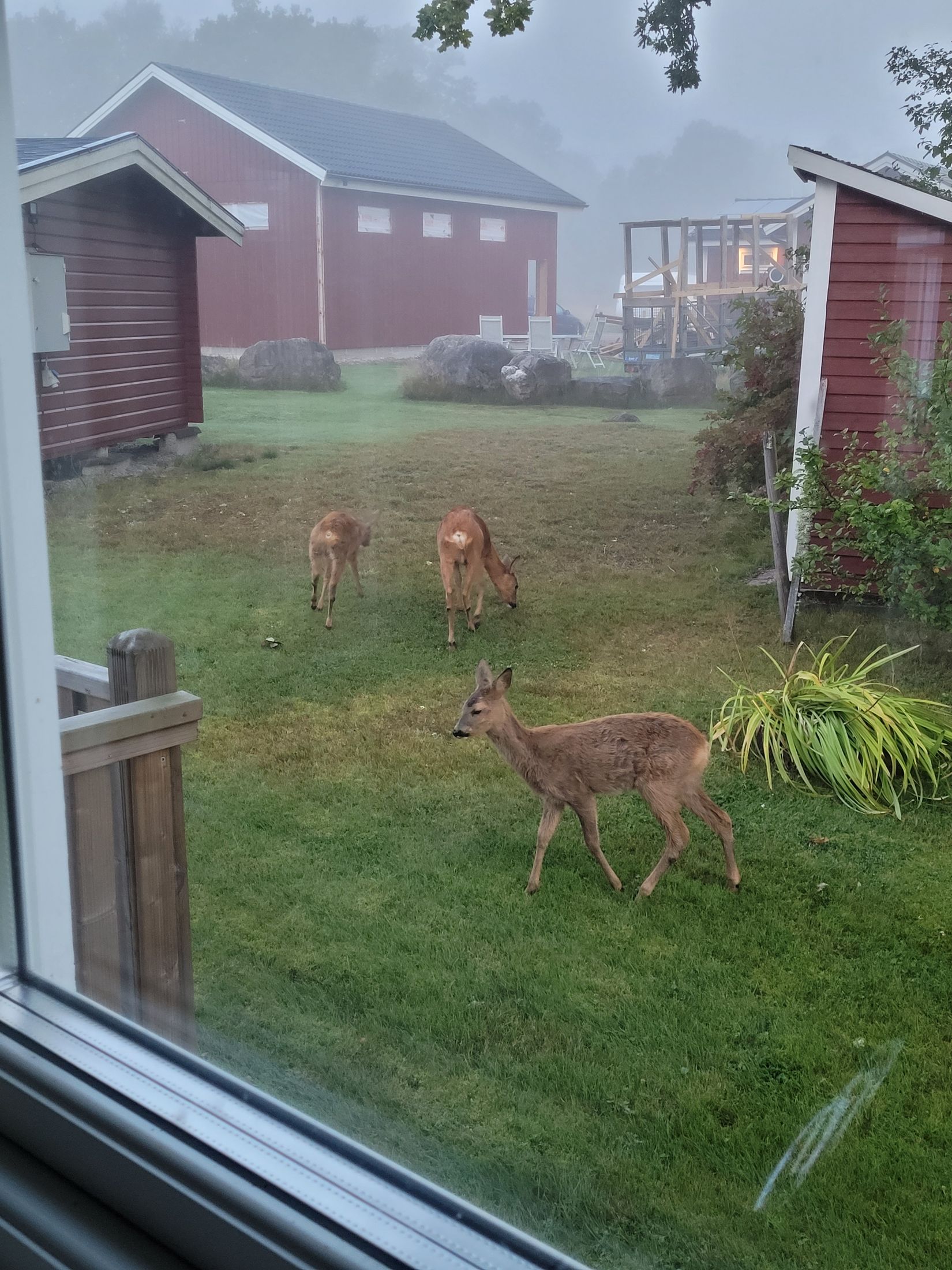 Villa, Källshult 9, Ljungby