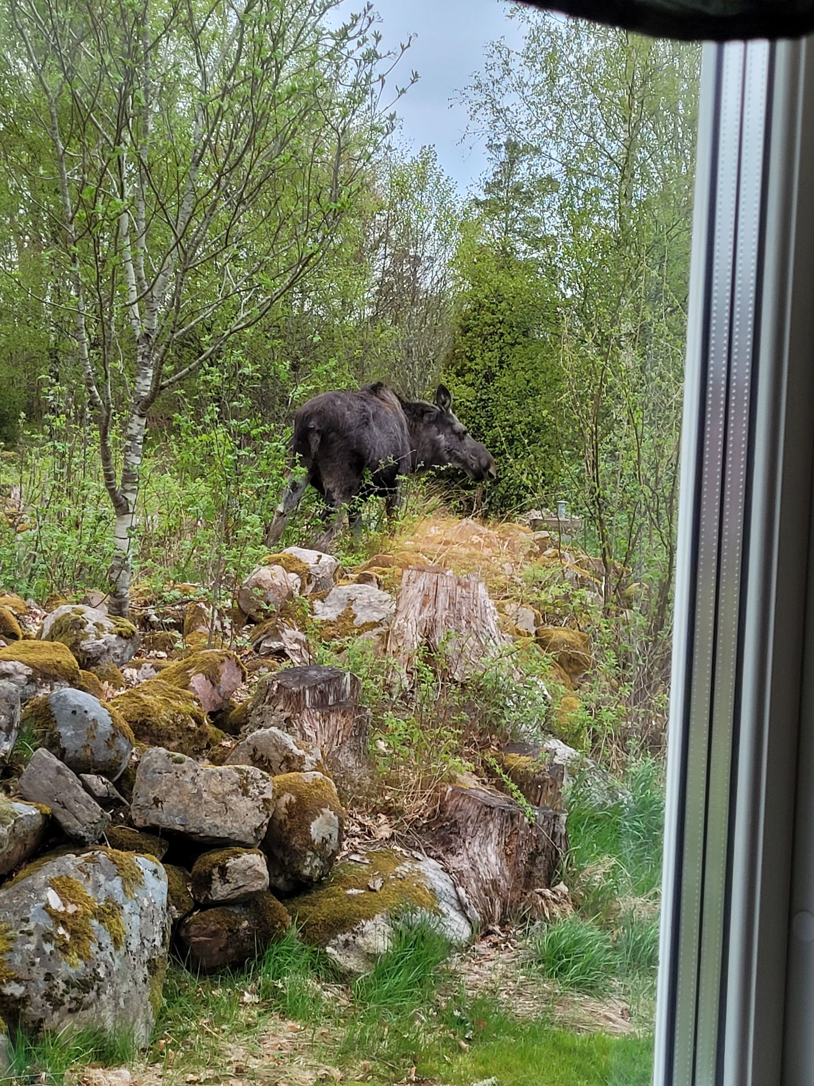 Villa, Källshult 9, Ljungby