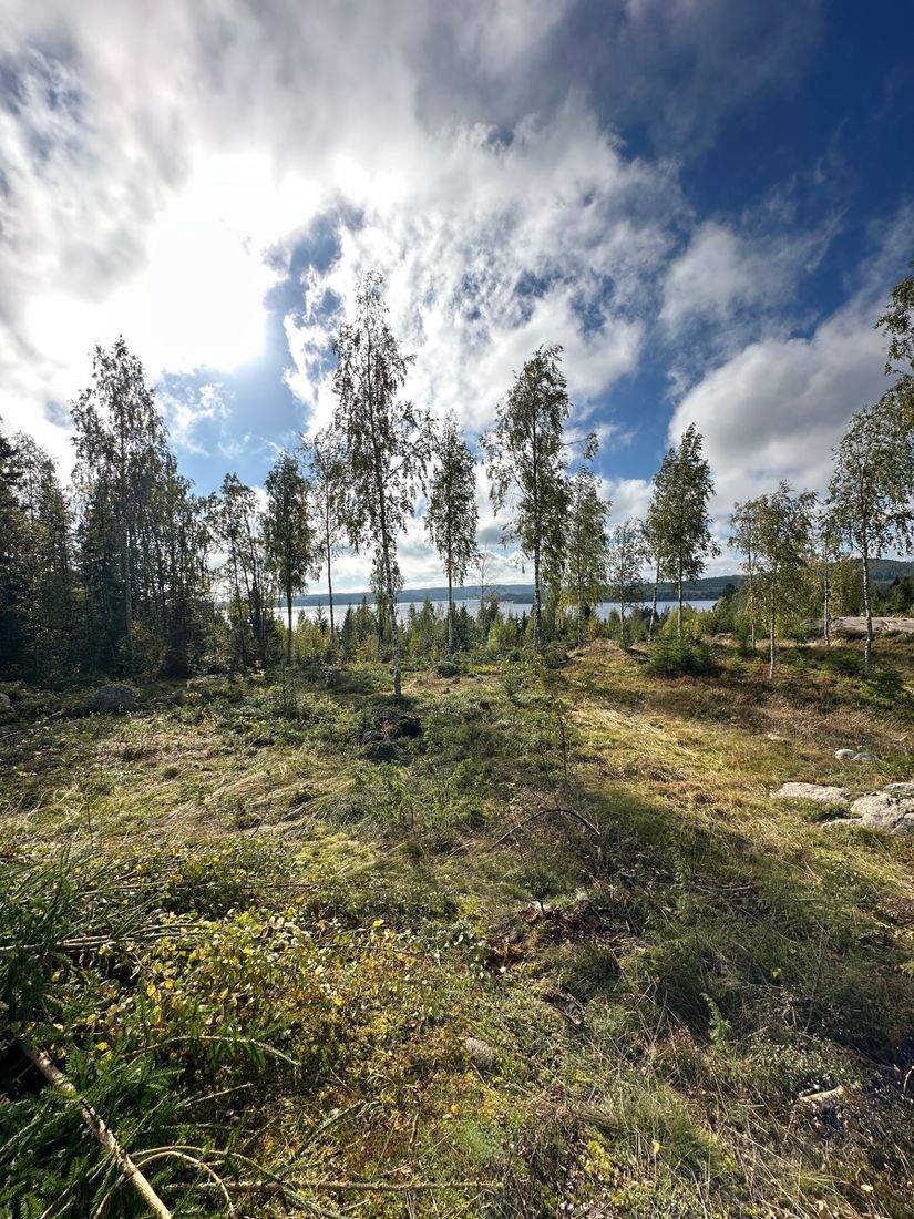 Tomt, Degerfälle 256, Örnsköldsvik