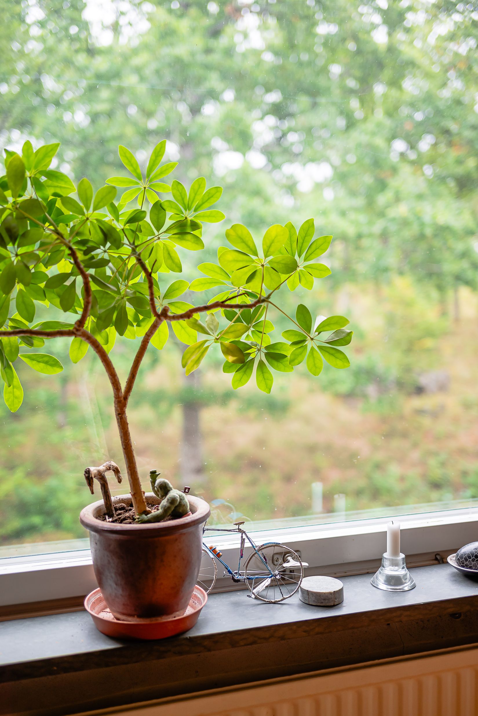 Bostadsrätt, Nygatan 36, Sparreholm, Flen