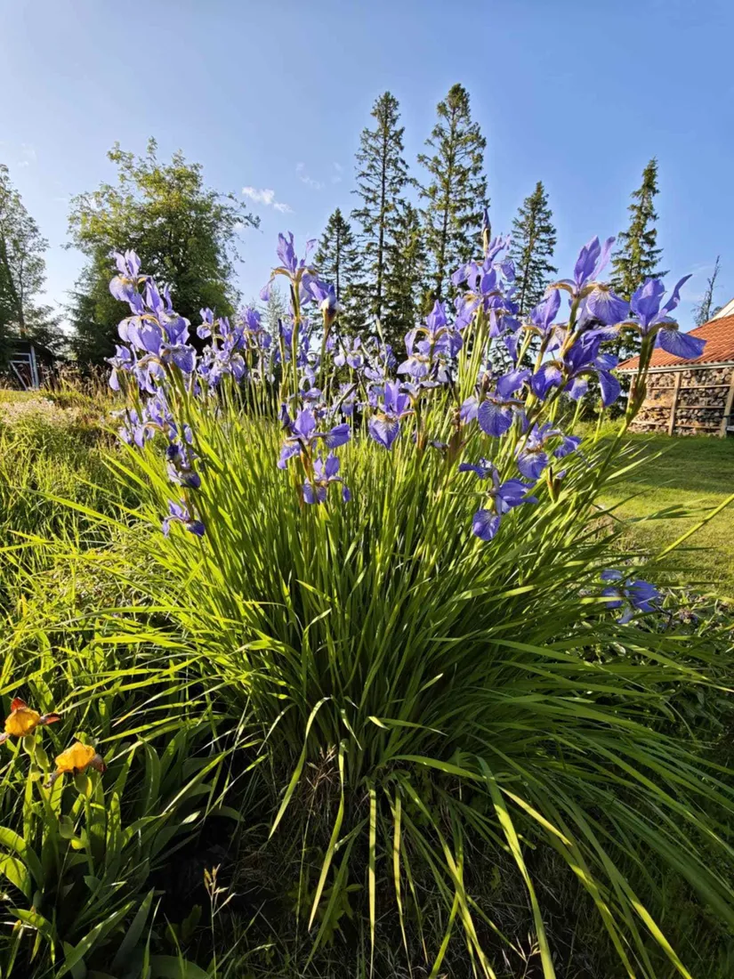 Fritidshus, Rostberg 16, Rostberg, Mora