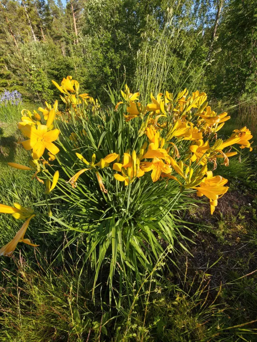 Fritidshus, Rostberg 16, Rostberg, Mora