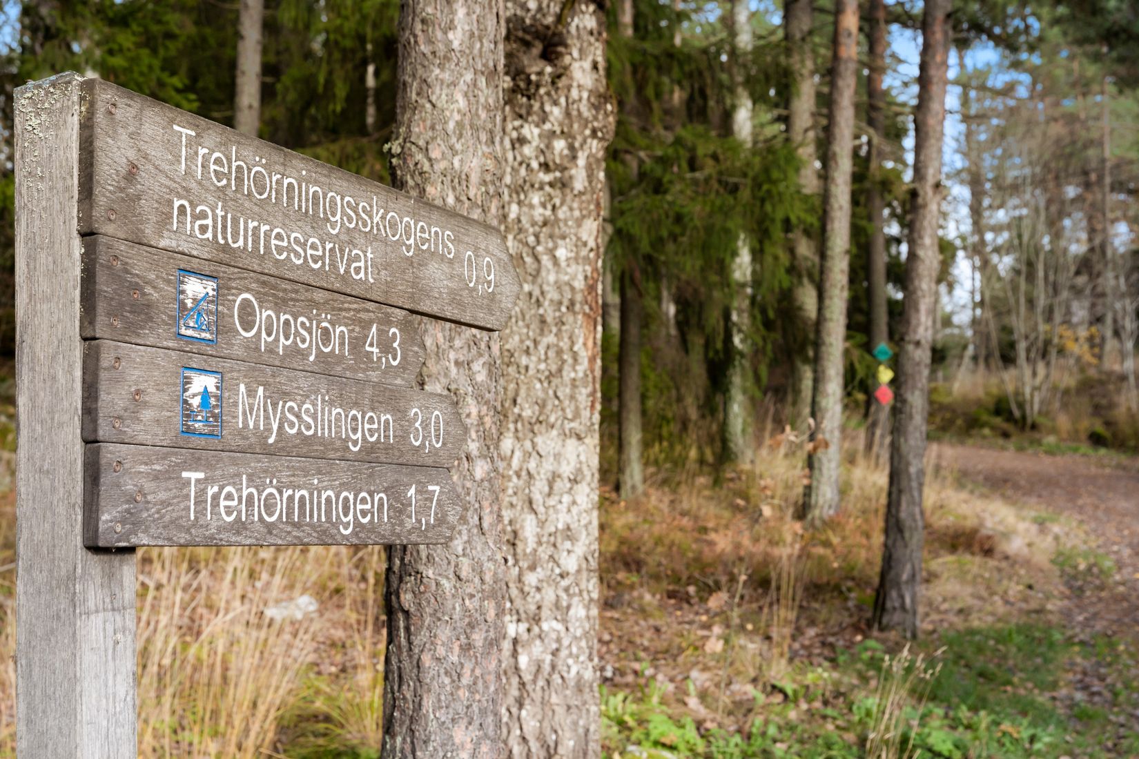 Villa, Radhus, Norra Atriumvägen 12, Kvisslingby, Österåker