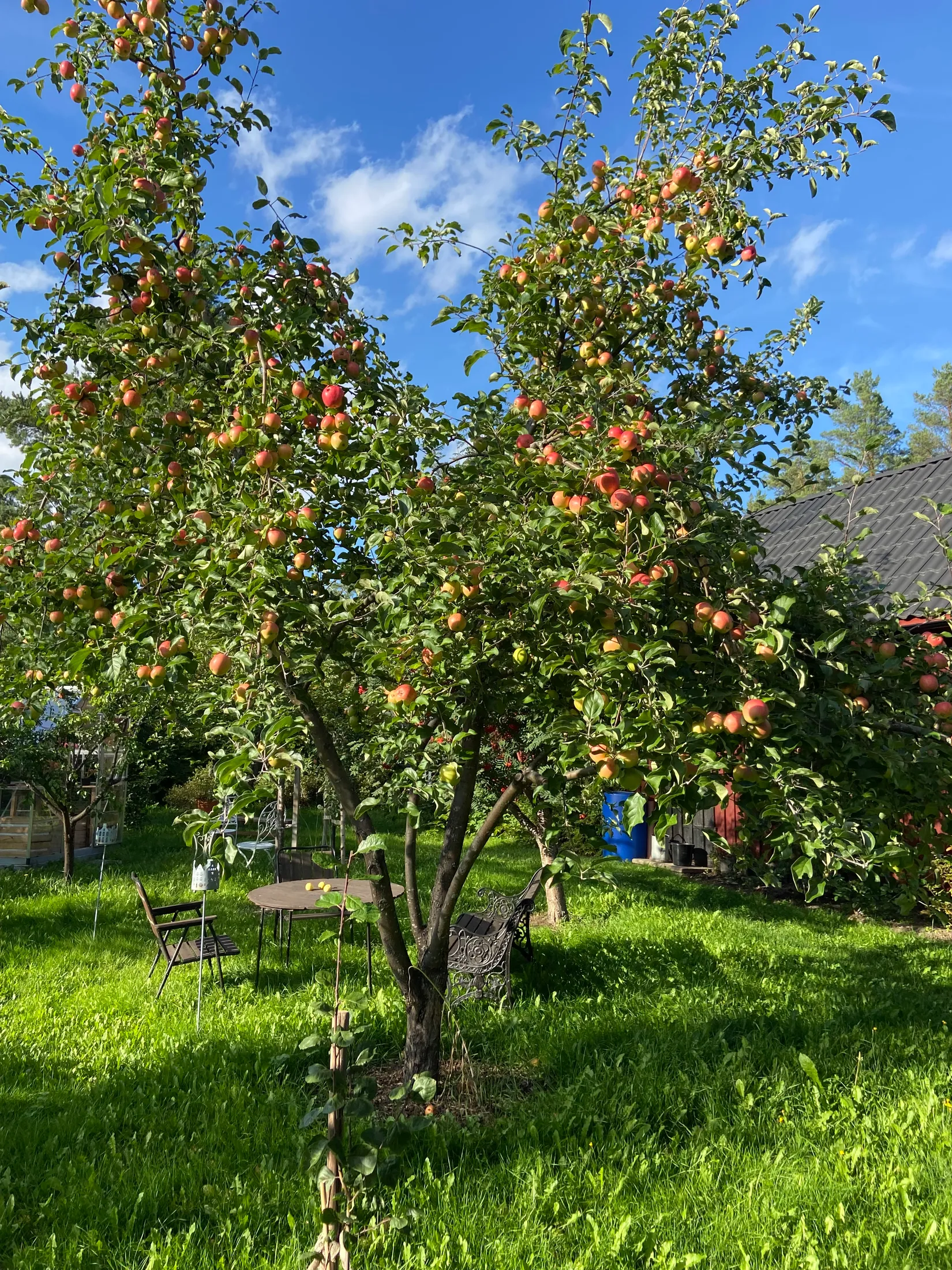 Villa, Väljemovägen 1, Ramsjö, Hennan, Ljusdal