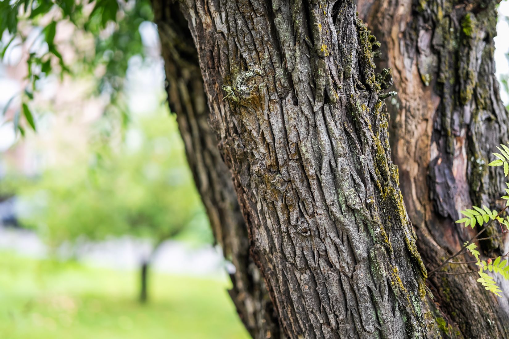 Villa, Parkgatan 16, Centrala Ånge, Ånge