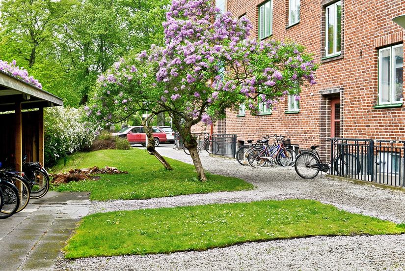 Bostadsrätt, S:t Knuts väg 10B, S:t Knut , Malmö