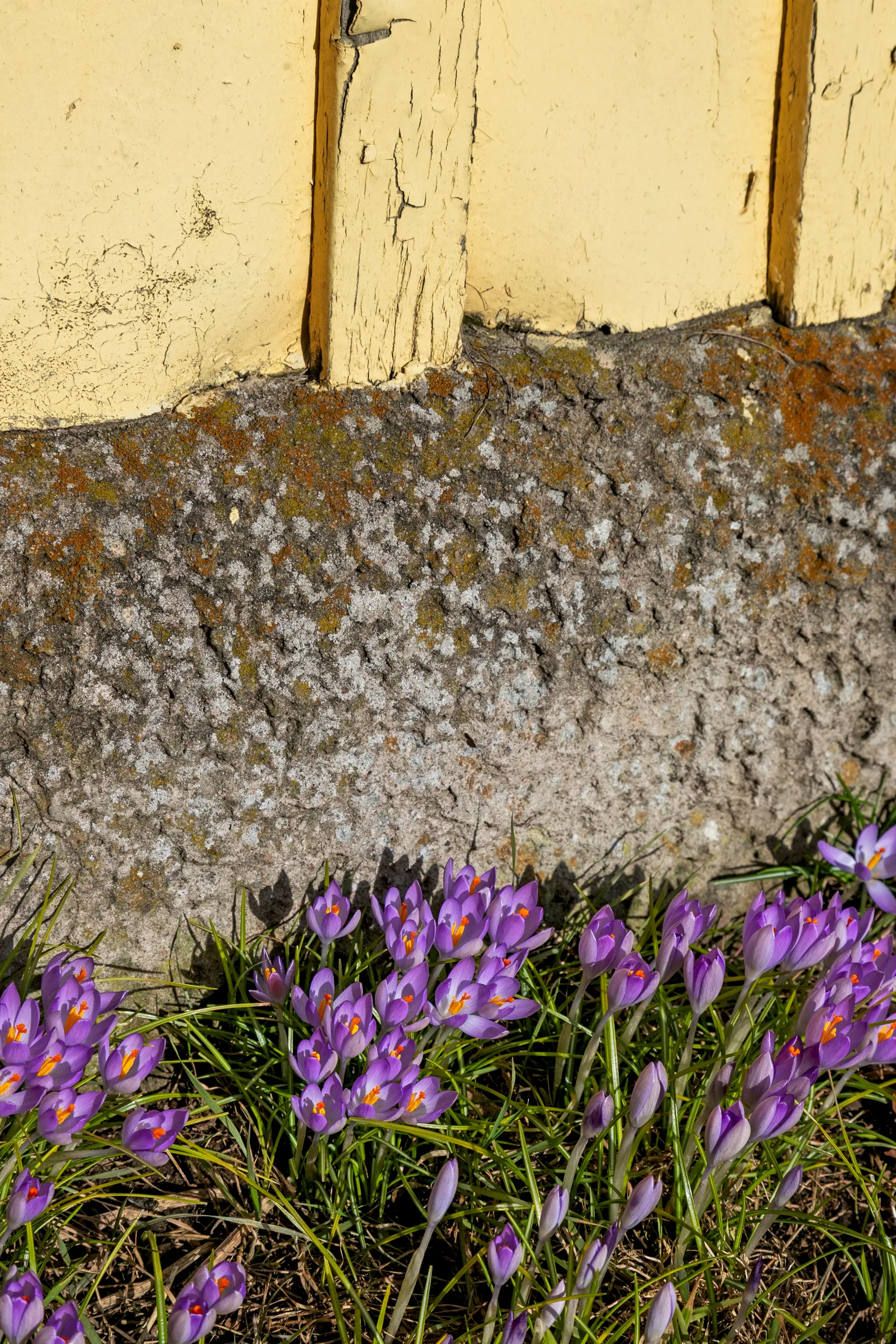 Villa, Attorpsvägen 5, Tofta, Varberg