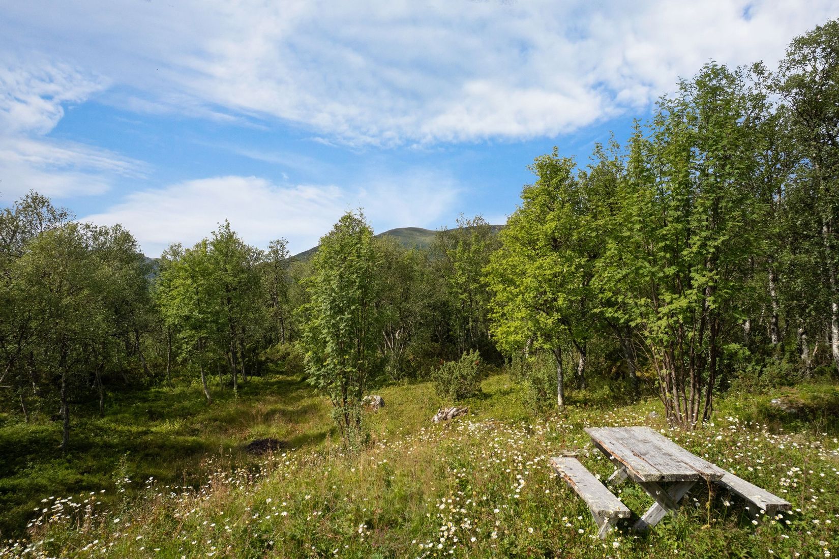 Fritidshus, Tänningevägen 15, Härjedalen