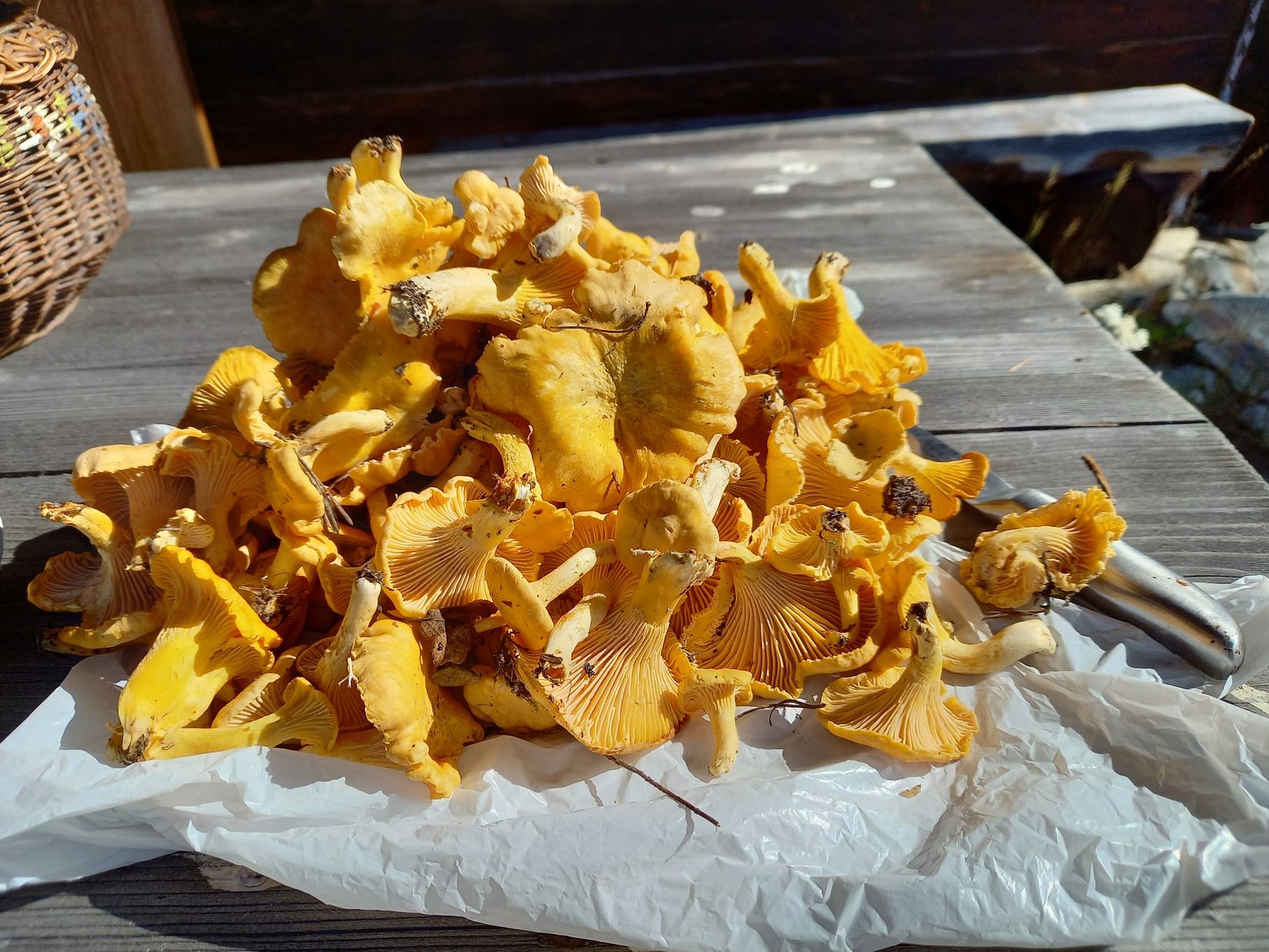 Fritidshus, Tänningevägen 15, Härjedalen