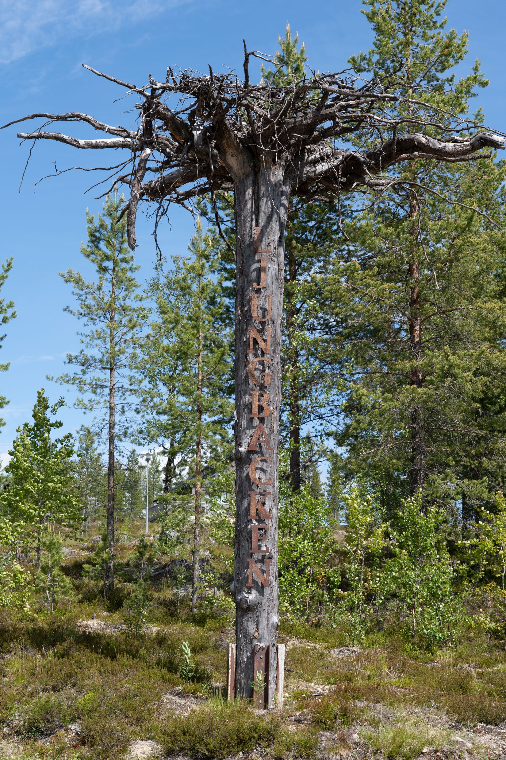 Fritidshus, Ljungbacken 25, Härjedalen