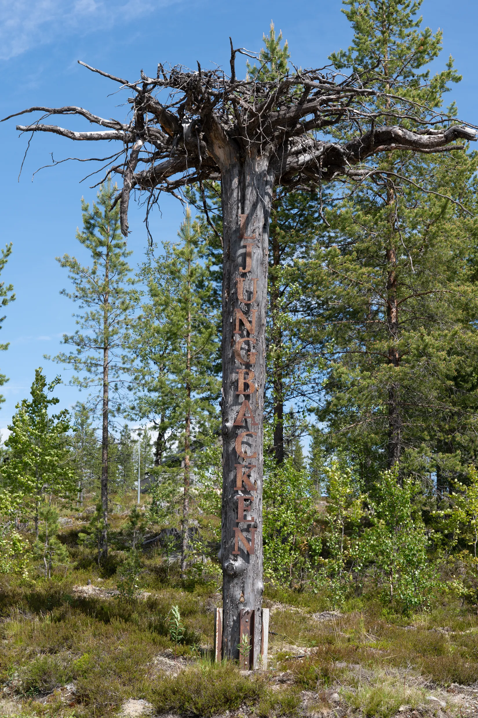 Fritidshus, Ljungbacken 25, Härjedalen