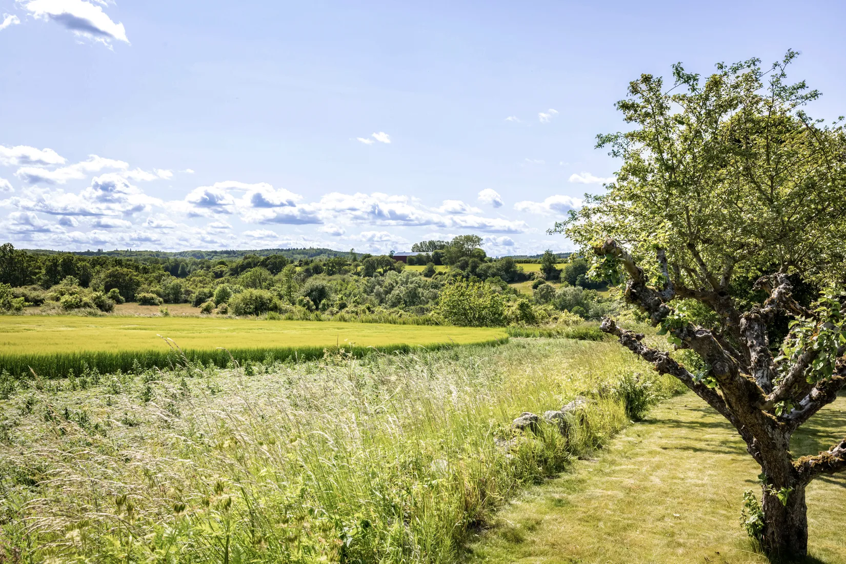 Villa, Svinaberga backe 16, Svinaberga, Simrishamn