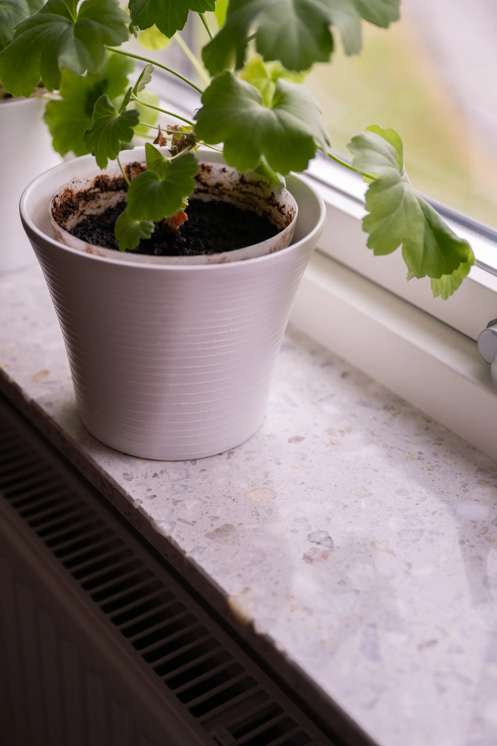 Bostadsrätt, Nordtagsgatan 12, Kungälv